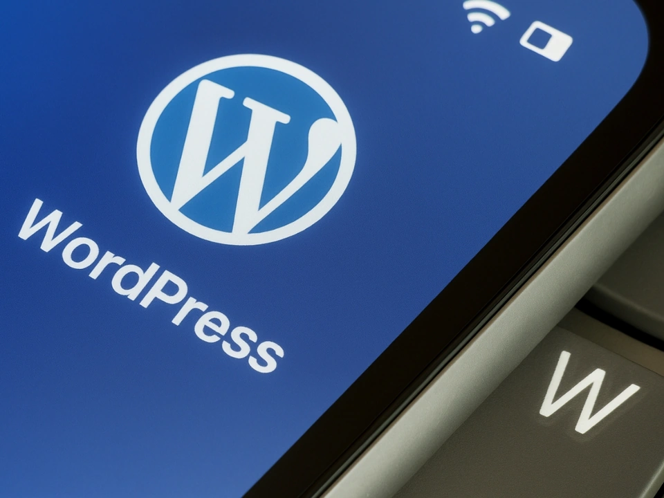 Website Integration with Ferry Software